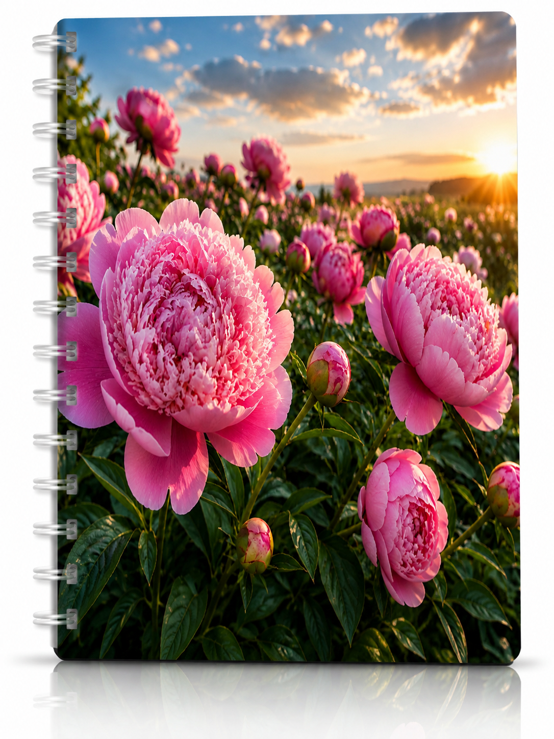 Copertina Peonie
