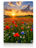 Copertina tramonto toscano