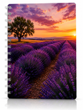 Copertina Campo di Lavanda