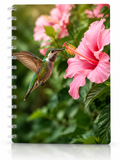 Copertina Colibrì