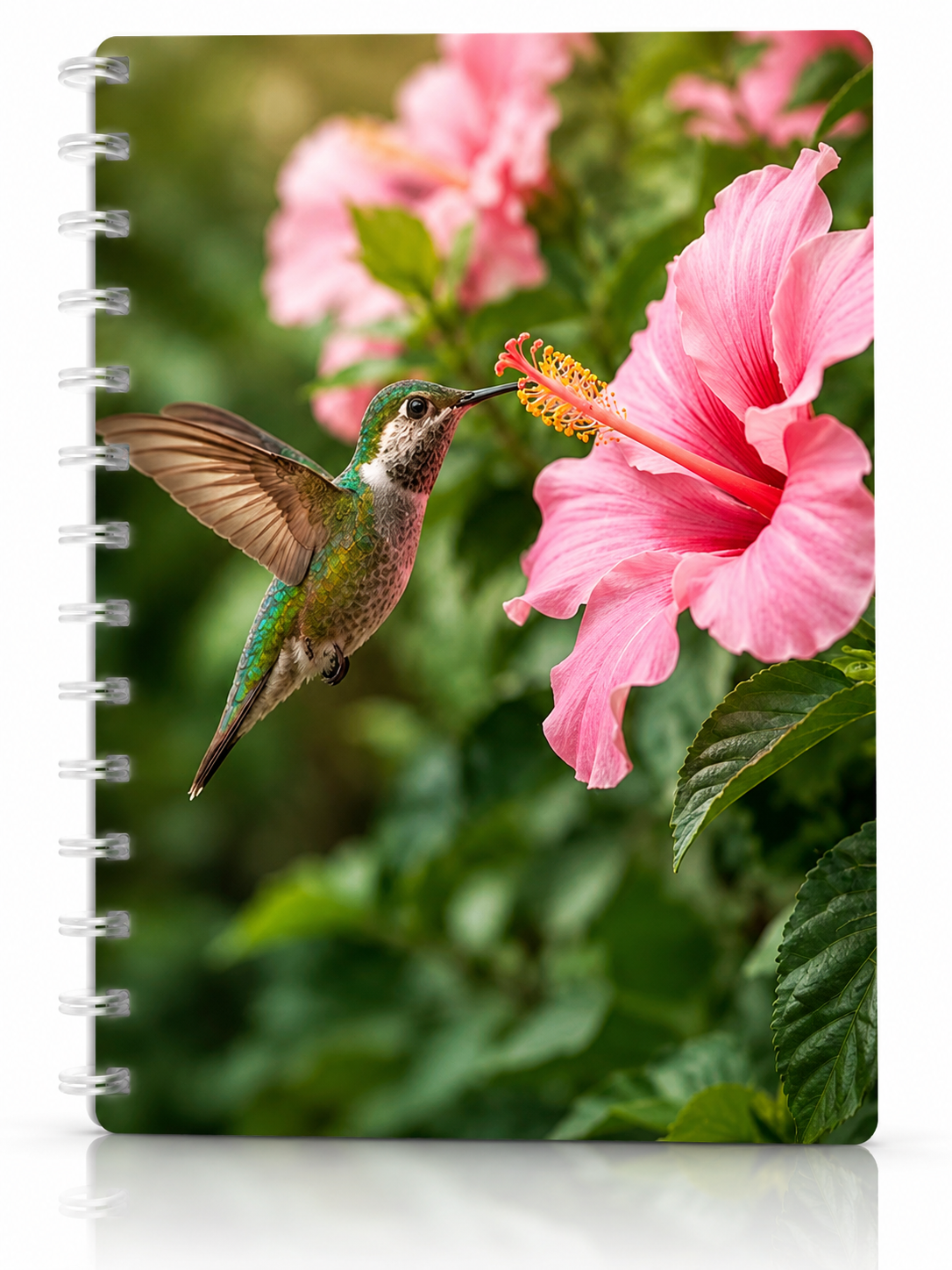 Copertina Colibrì
