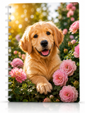Copertina Cucciolo