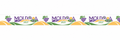 Lanyard Moldova 2027