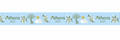 Lanyard Atene 2027