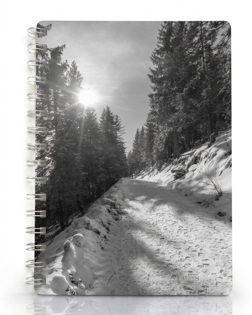 Copertina Neve