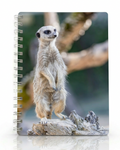 Copertina Animal 1