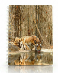 Copertina Tigre