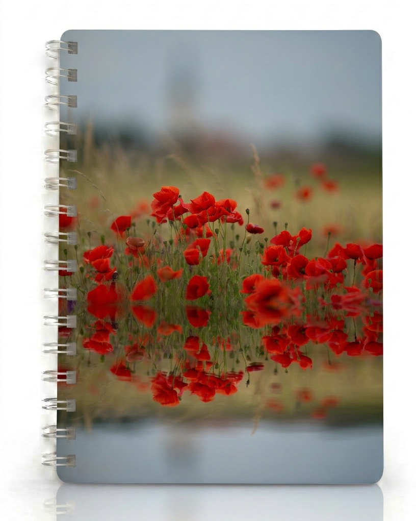 Copertina Fiori Tulipani