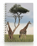 Copertina Giraffa